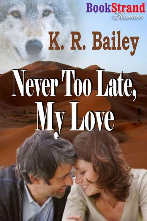 Cover of the book Never Too Late My Love by K. R. Bailey, Siren-BookStrand