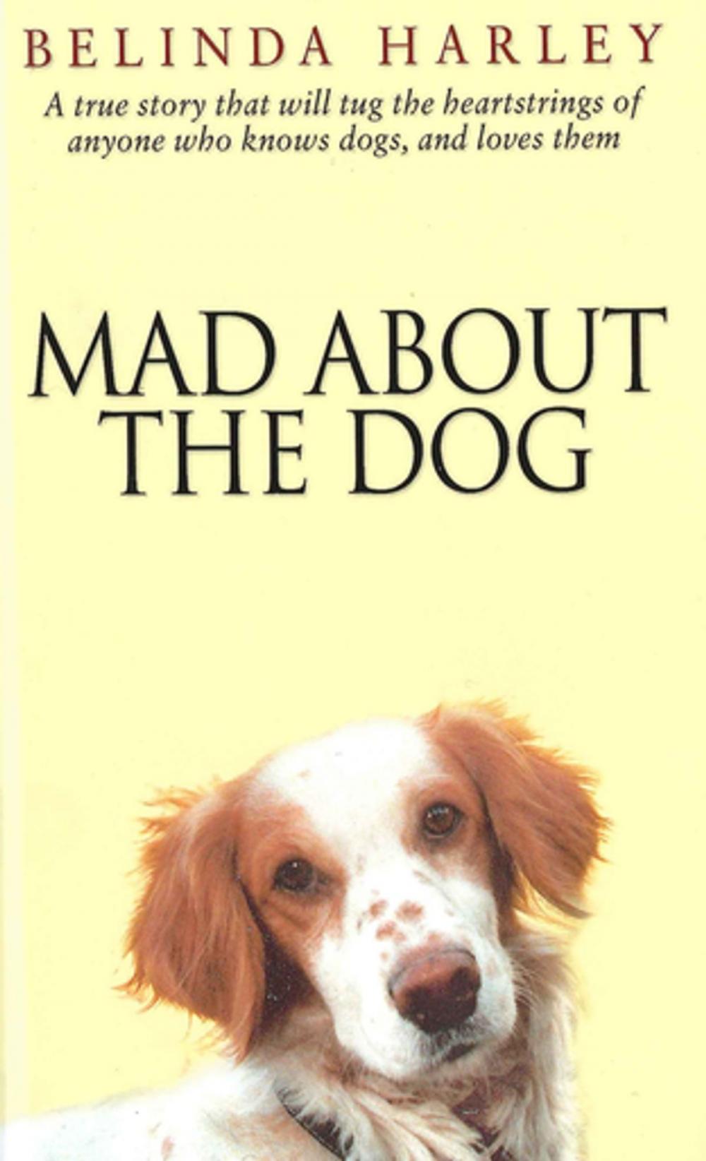 Big bigCover of Mad About the Dog