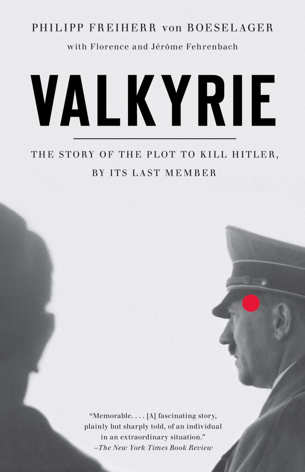 Big bigCover of Valkyrie