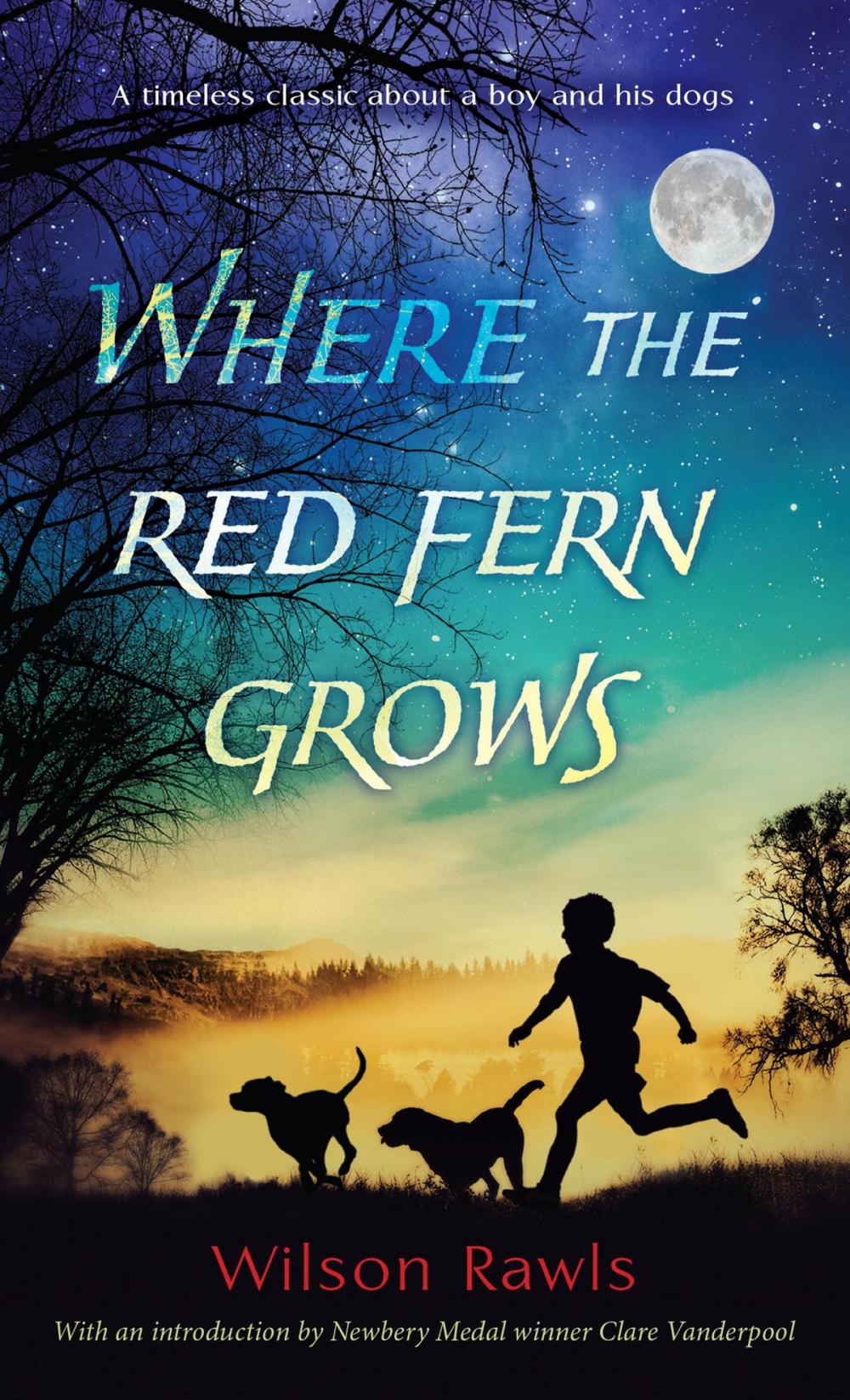 Big bigCover of Where the Red Fern Grows