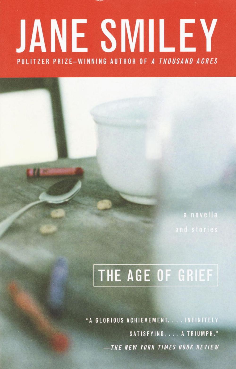 Big bigCover of The Age of Grief