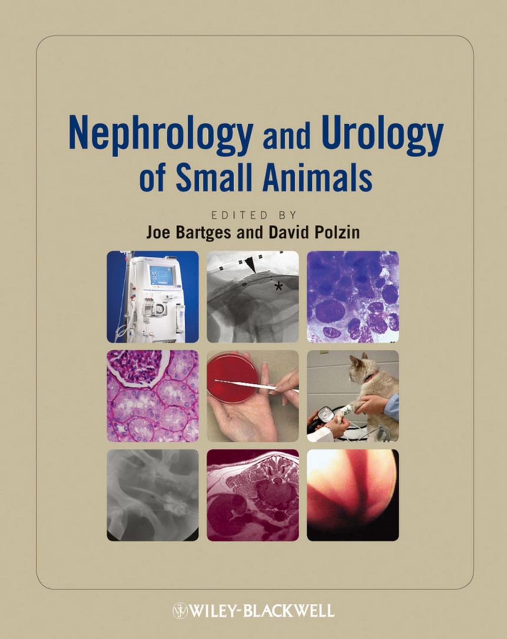 Big bigCover of Nephrology and Urology of Small Animals