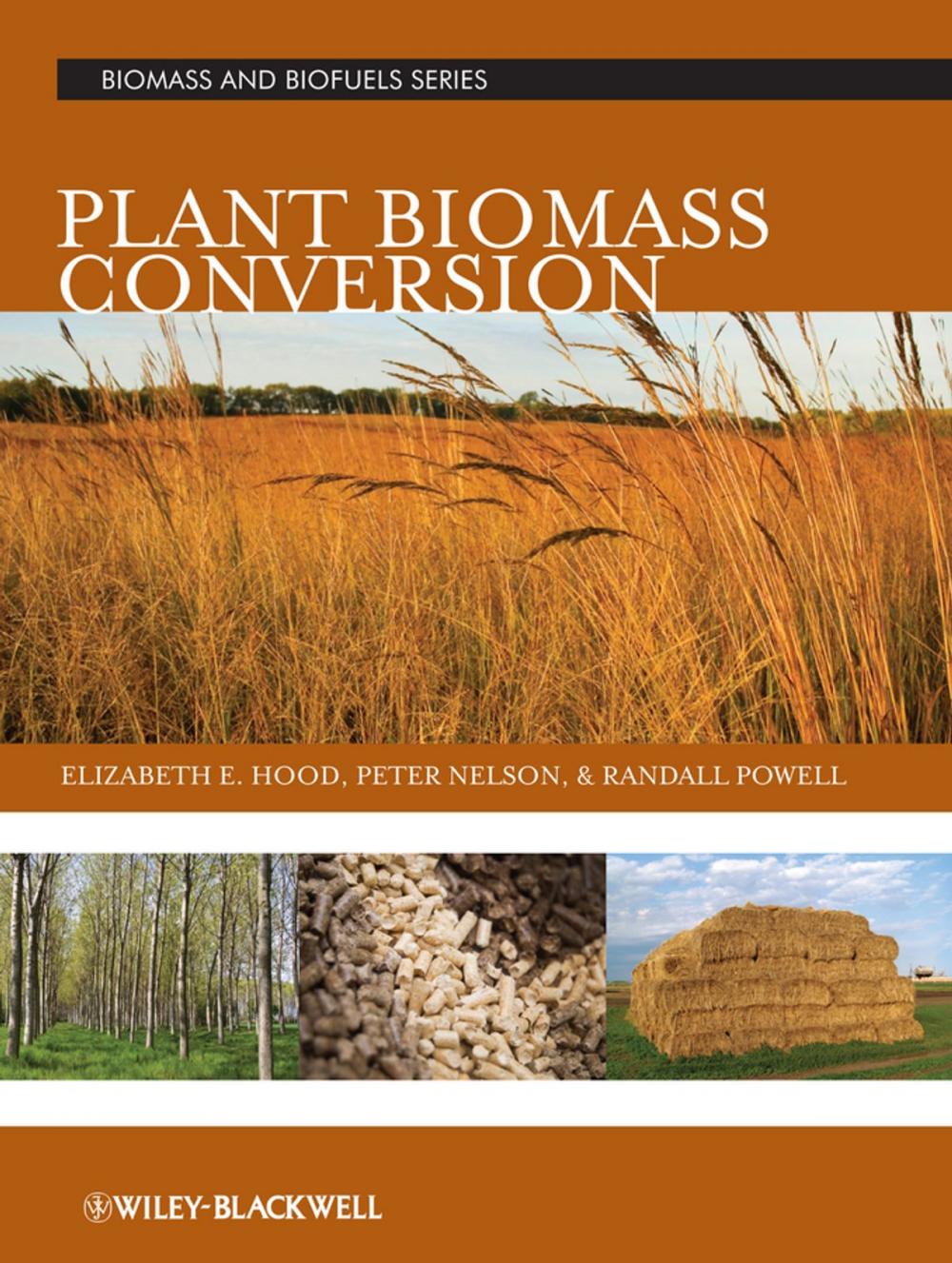 Big bigCover of Plant Biomass Conversion