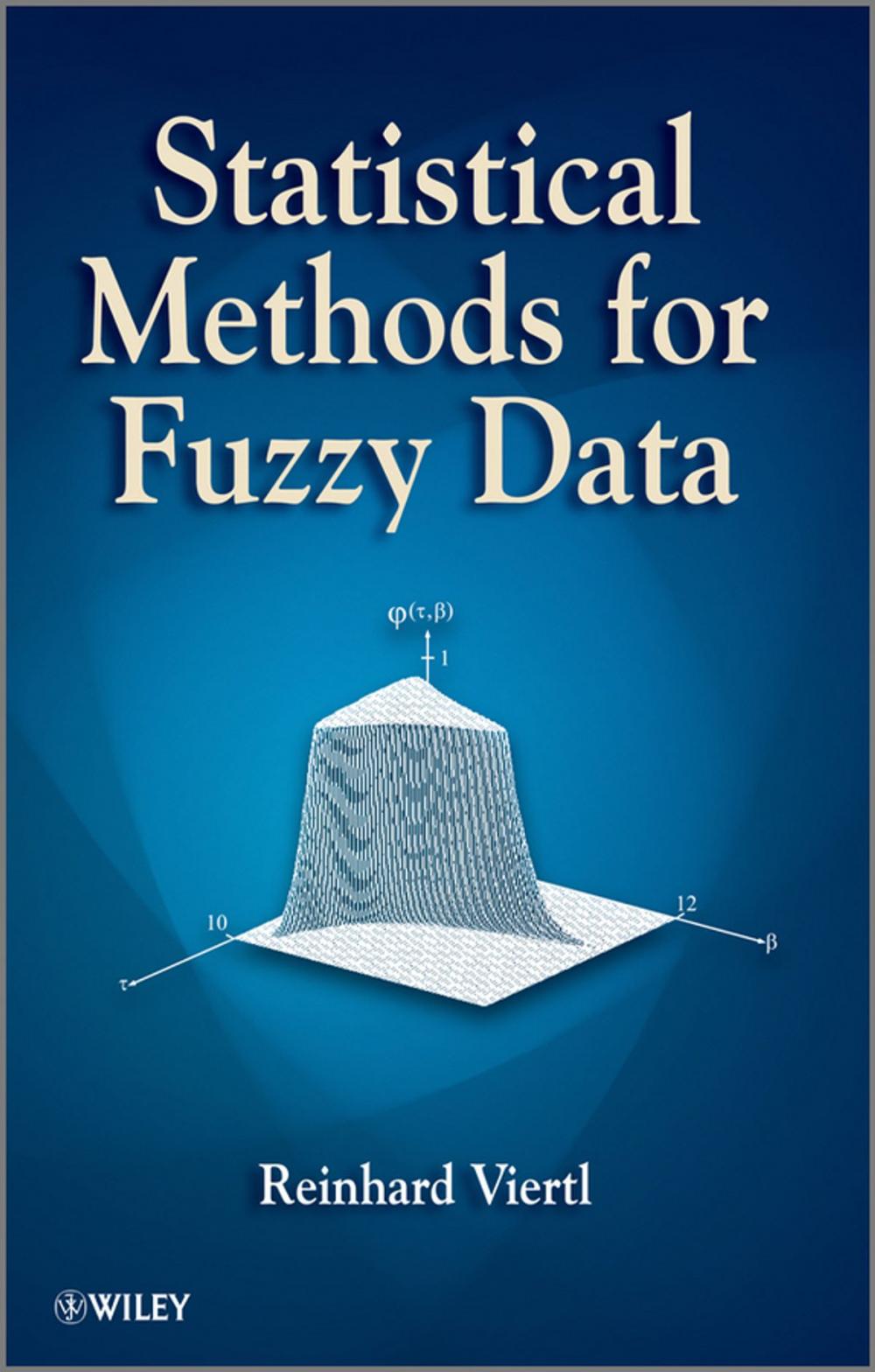 Big bigCover of Statistical Methods for Fuzzy Data