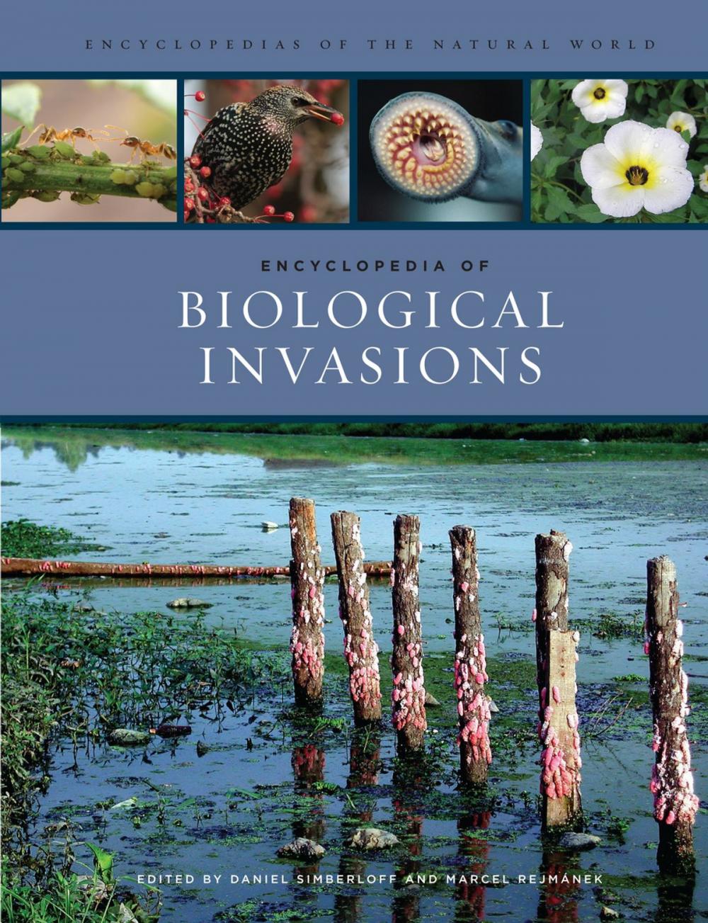 Big bigCover of Encyclopedia of Biological Invasions