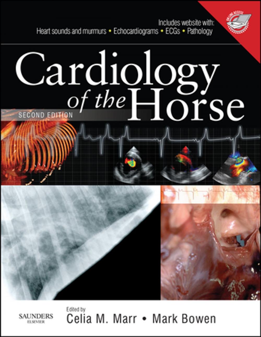 Big bigCover of Cardiology of the Horse E-Book