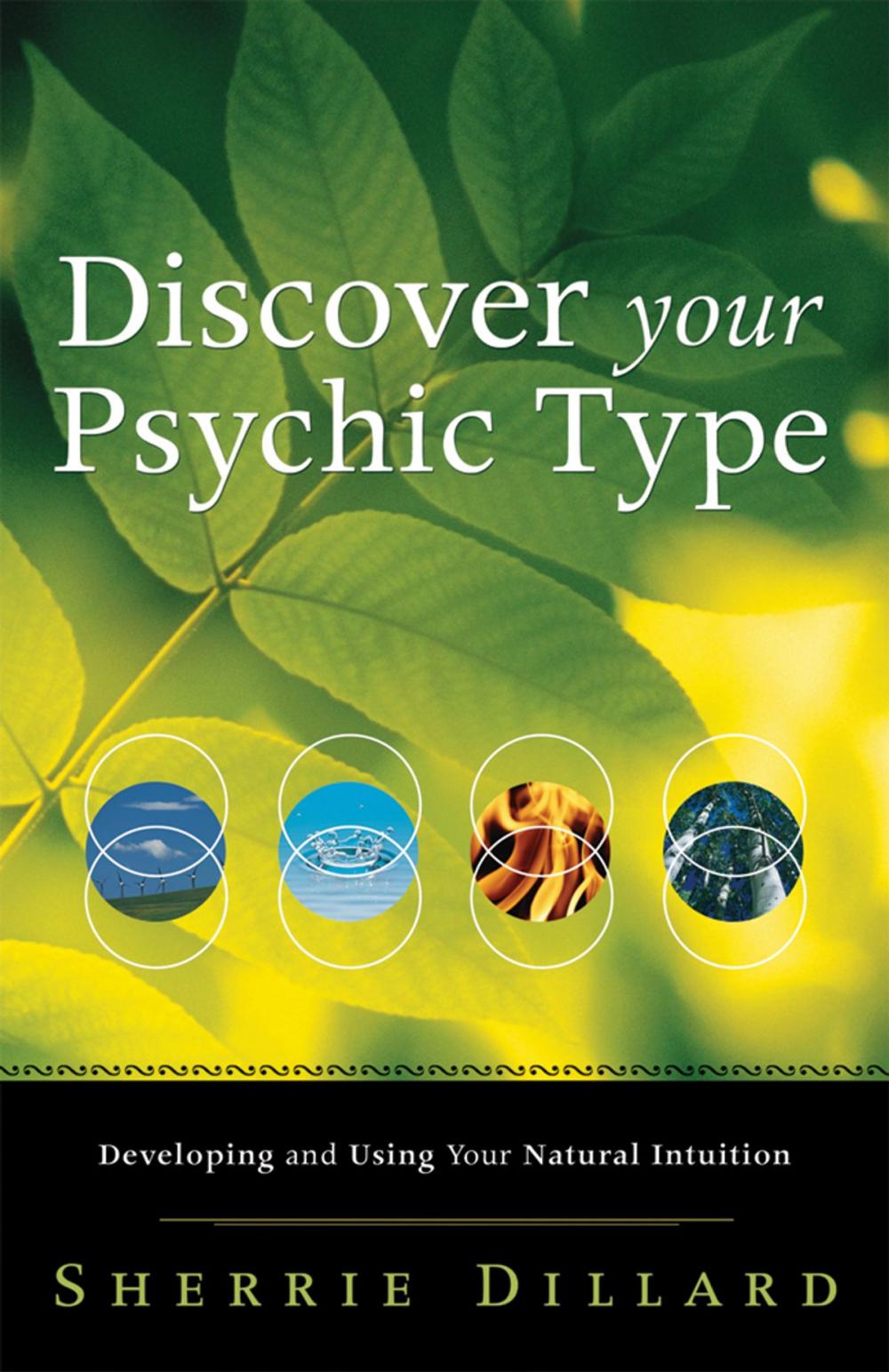 Big bigCover of Discover Your Psychic Type: Developing and Using Your Natural Intuition