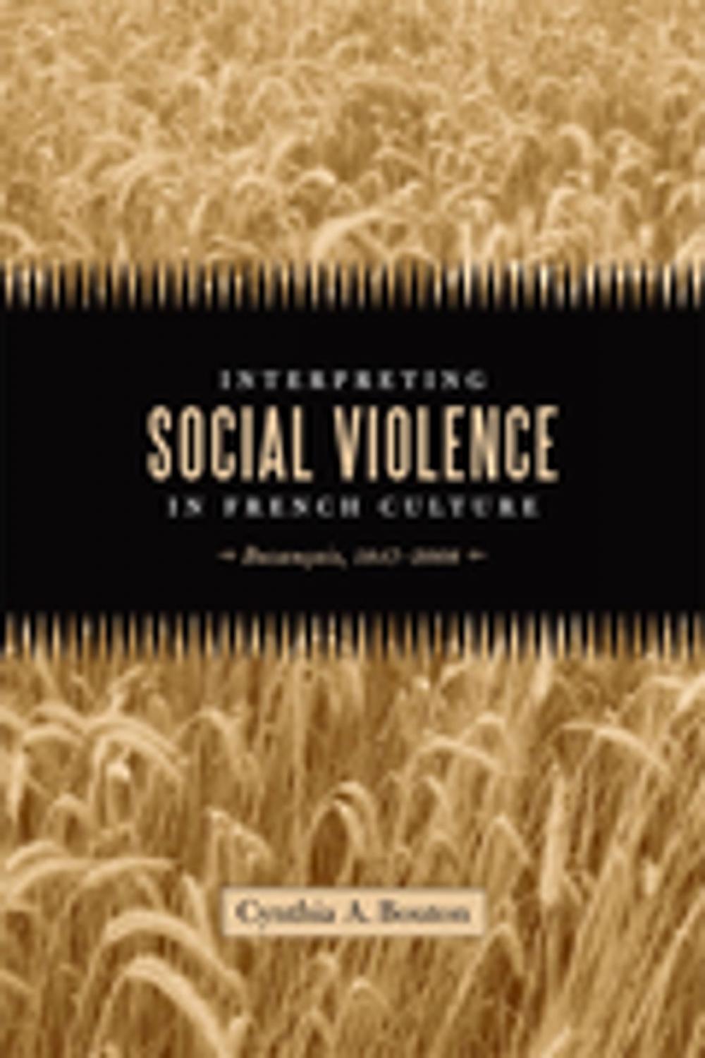 Big bigCover of Interpreting Social Violence in French Culture