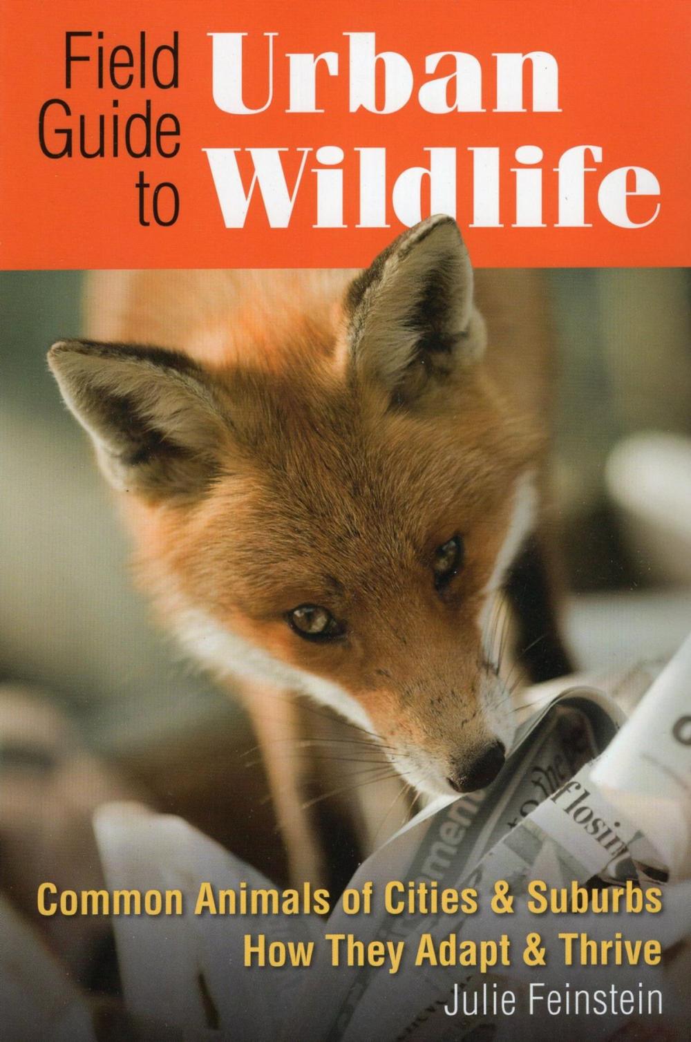 Big bigCover of Field Guide to Urban Wildlife