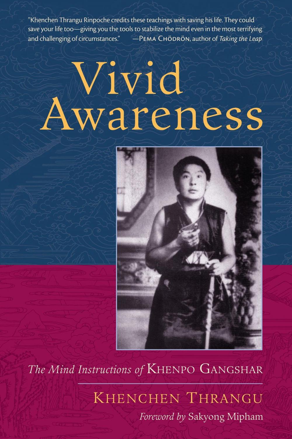 Big bigCover of Vivid Awareness