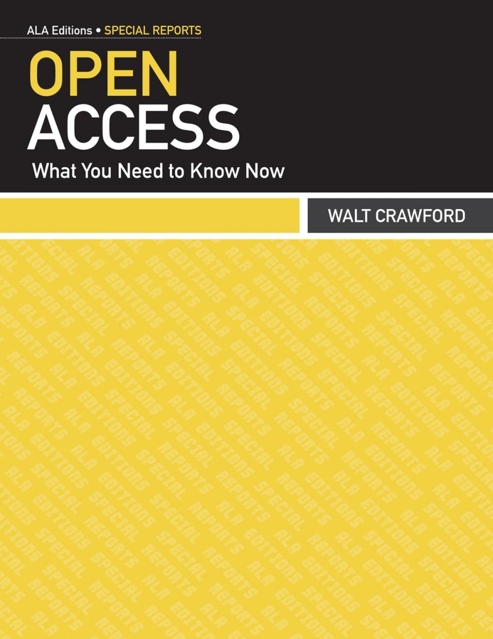 Big bigCover of Open Access