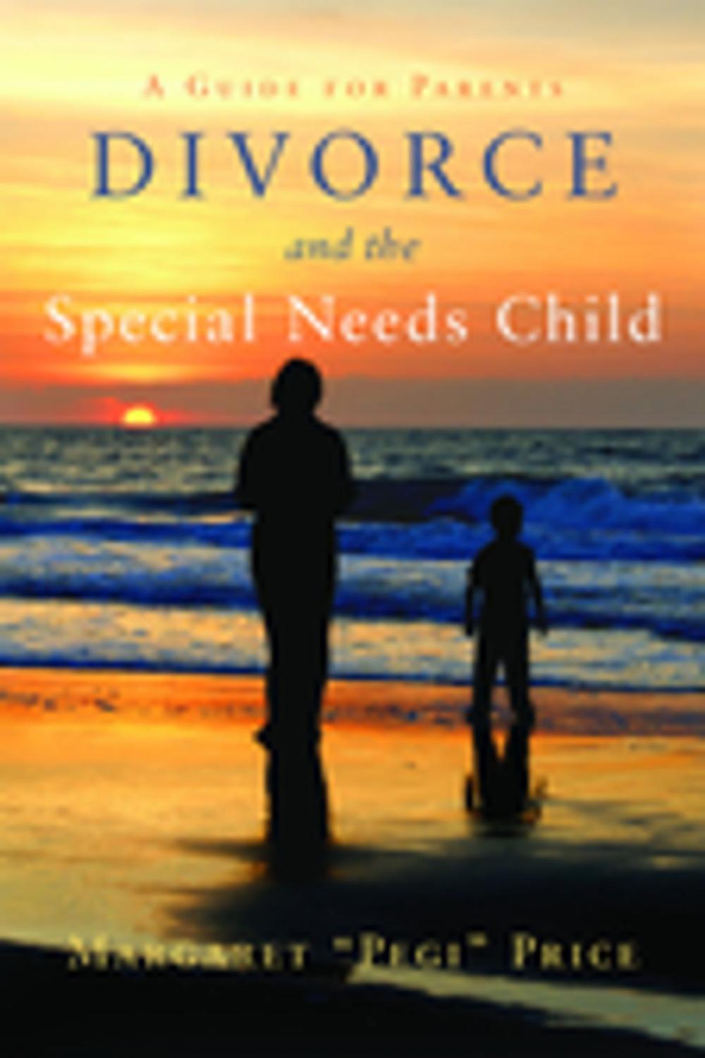 Big bigCover of Divorce and the Special Needs Child