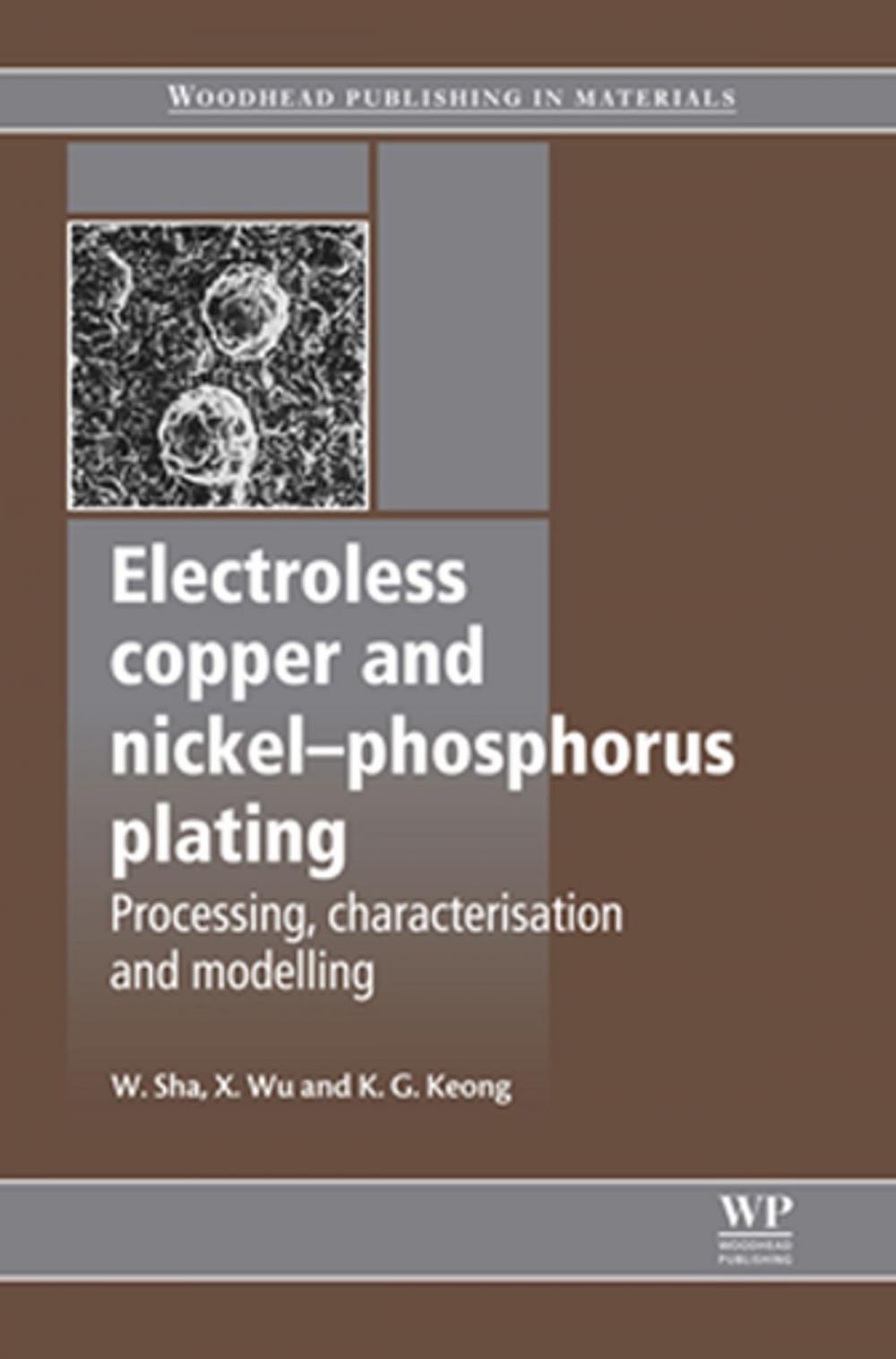 Big bigCover of Electroless Copper and Nickel-Phosphorus Plating