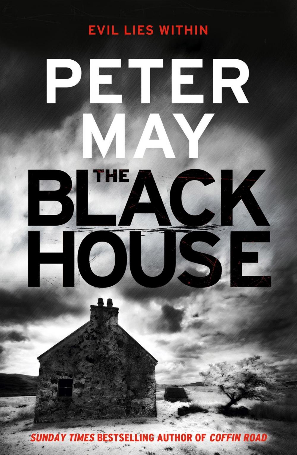 Big bigCover of The Blackhouse