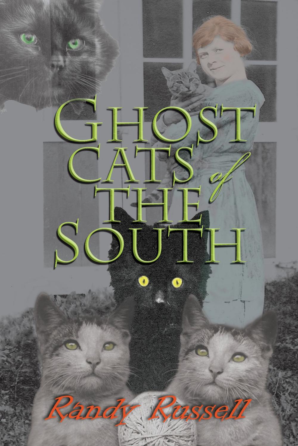 Big bigCover of Ghost Cats of the South