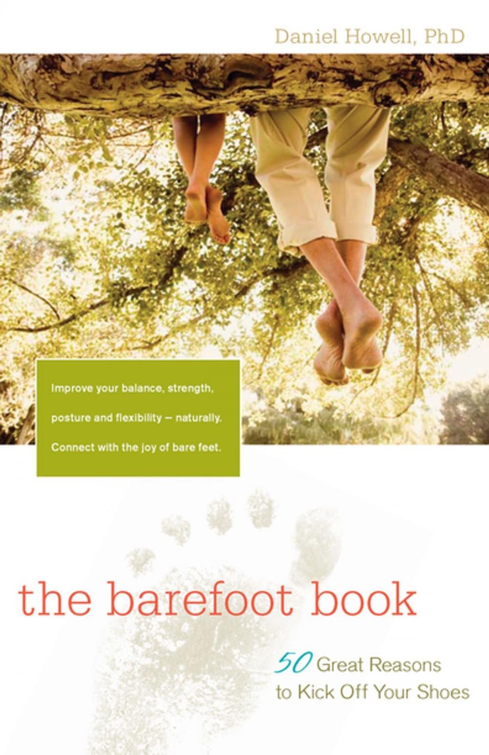 Big bigCover of The Barefoot Book