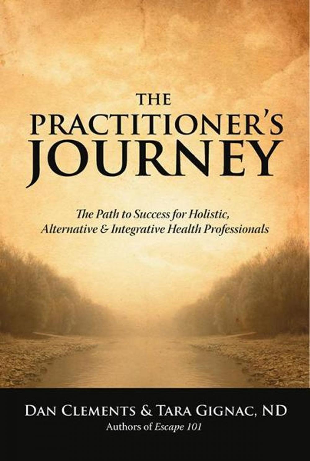 Big bigCover of The Practitioner's Journey