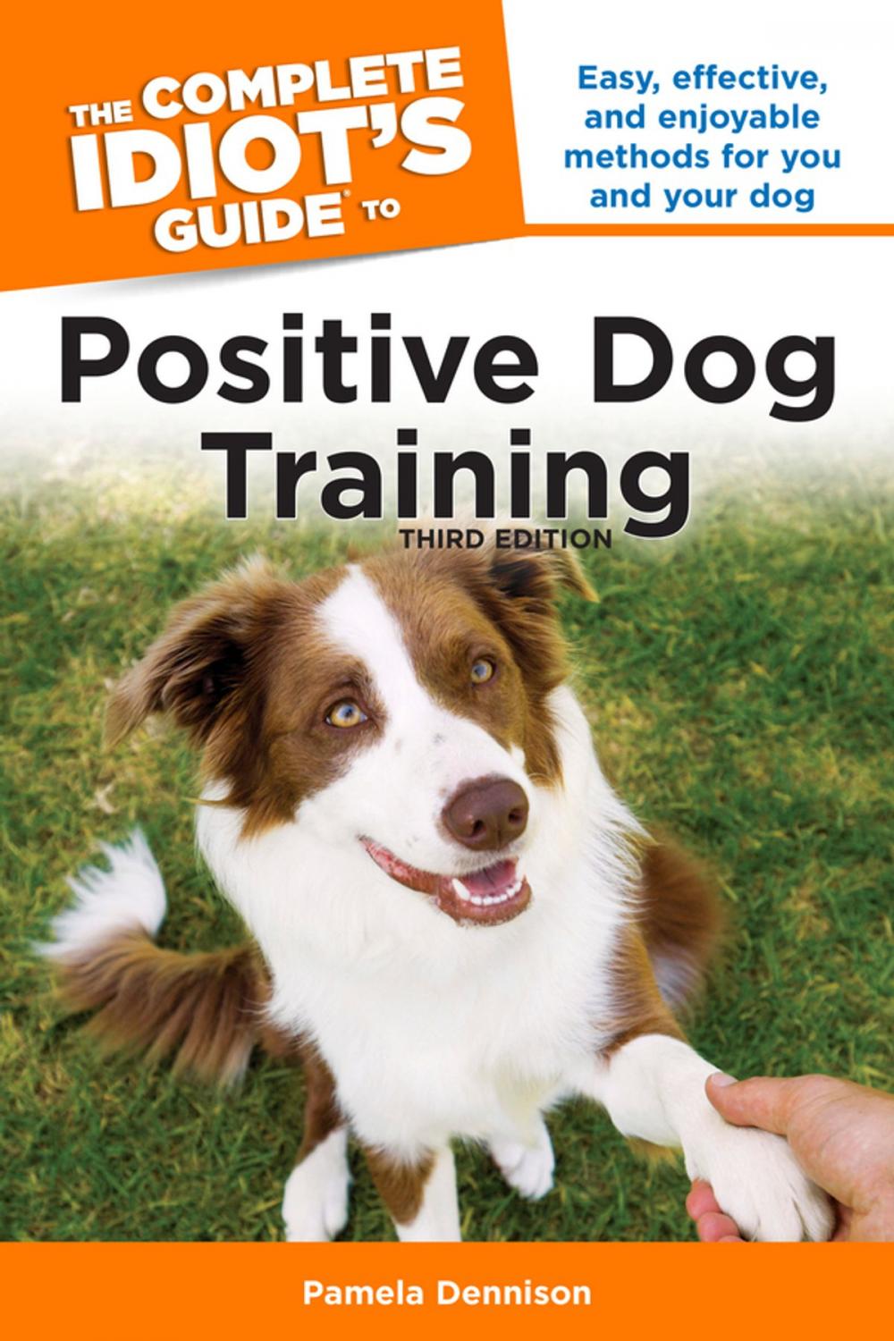 Big bigCover of The Complete Idiot's Guide to Positive Dog Training, 3rd Edition