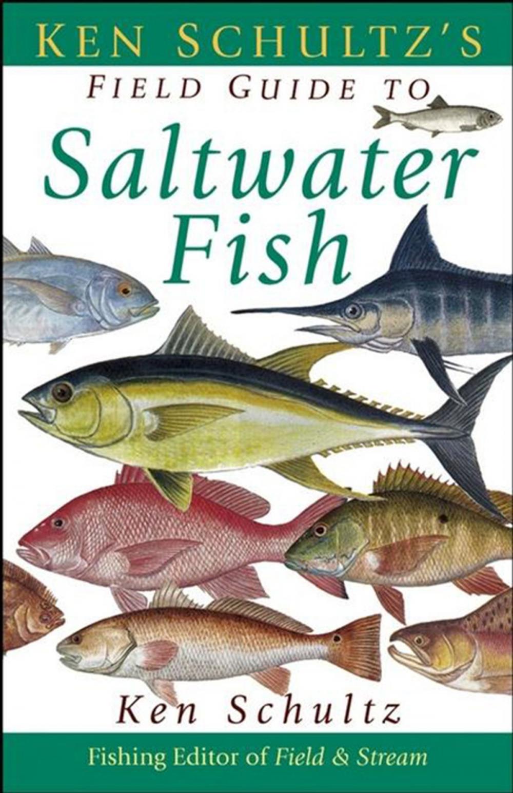 Big bigCover of Ken Schultz's Field Guide to Saltwater Fish