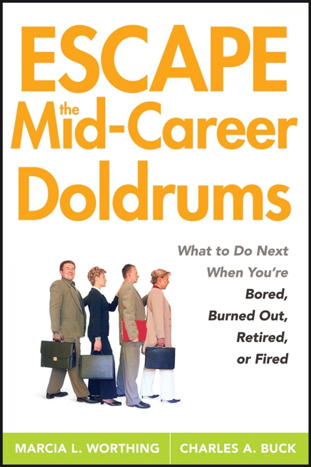 Big bigCover of Escape the Mid-Career Doldrums