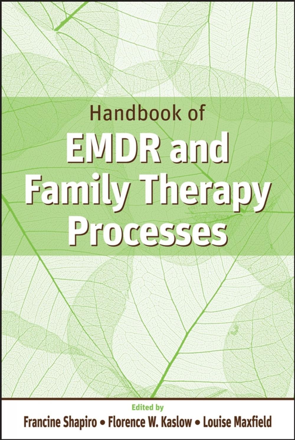 Big bigCover of Handbook of EMDR and Family Therapy Processes