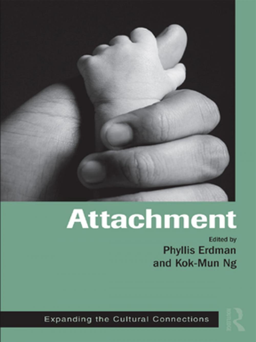 Big bigCover of Attachment