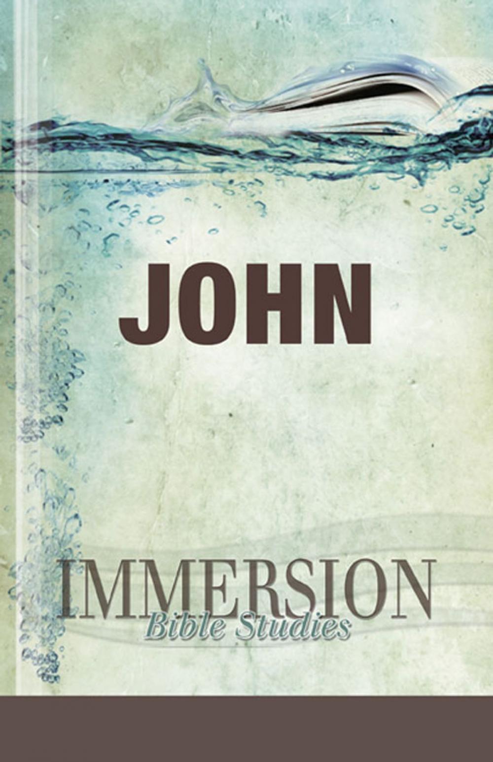 Big bigCover of Immersion Bible Studies: John