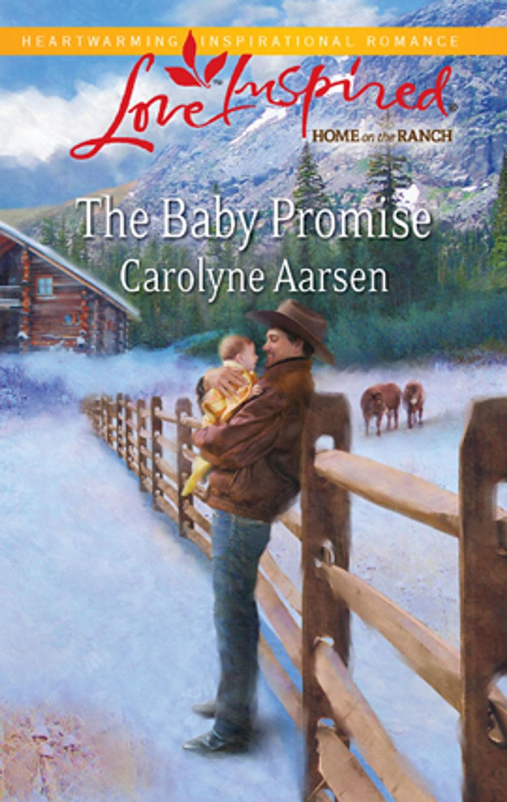 Big bigCover of The Baby Promise