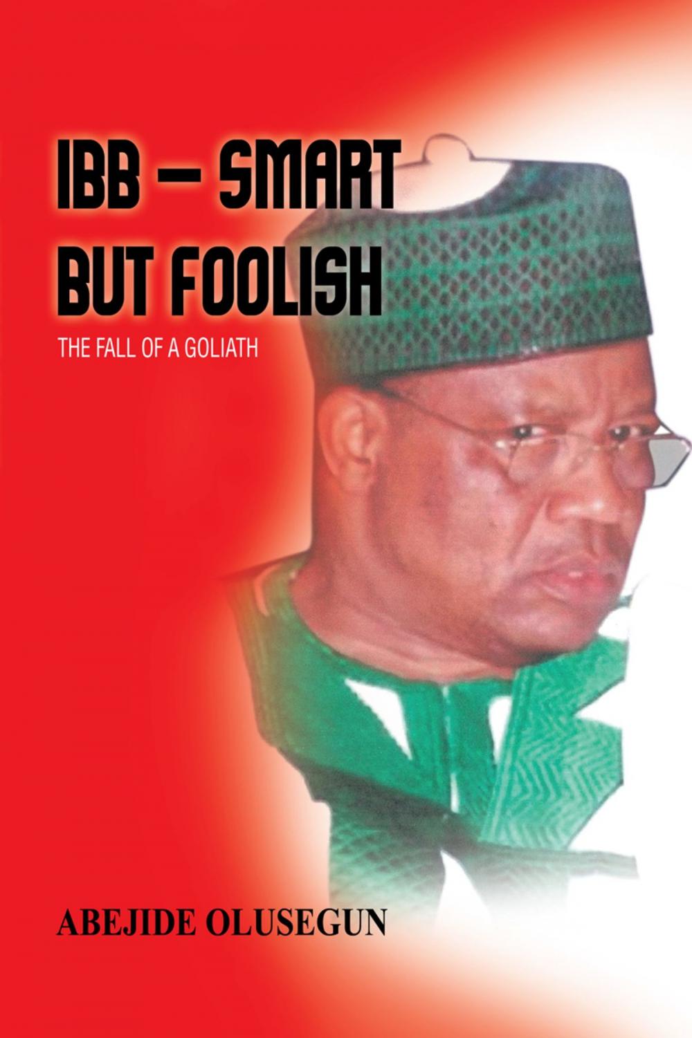 Big bigCover of Ibb – Smart but Foolish