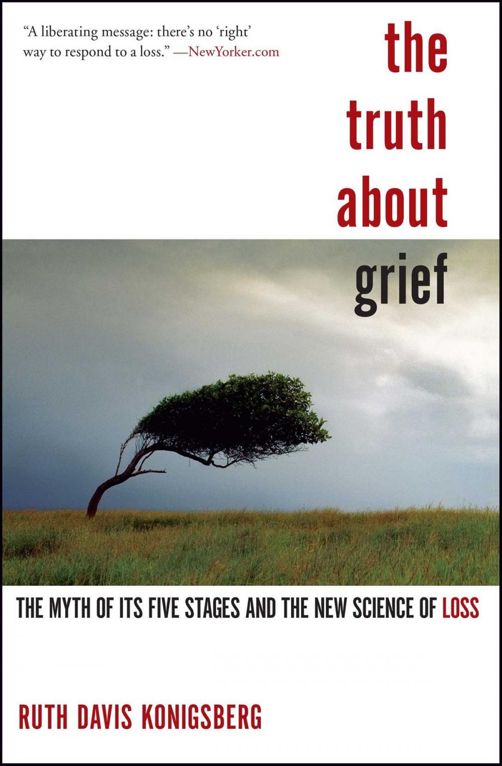 Big bigCover of The Truth About Grief