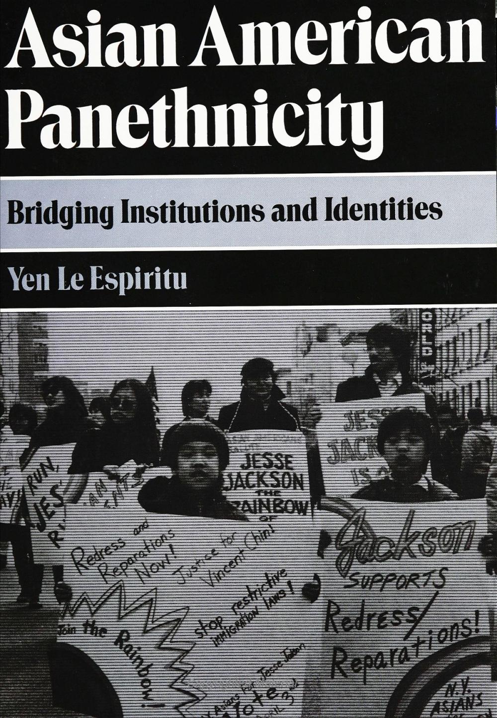 Big bigCover of Asian American Panethnicity