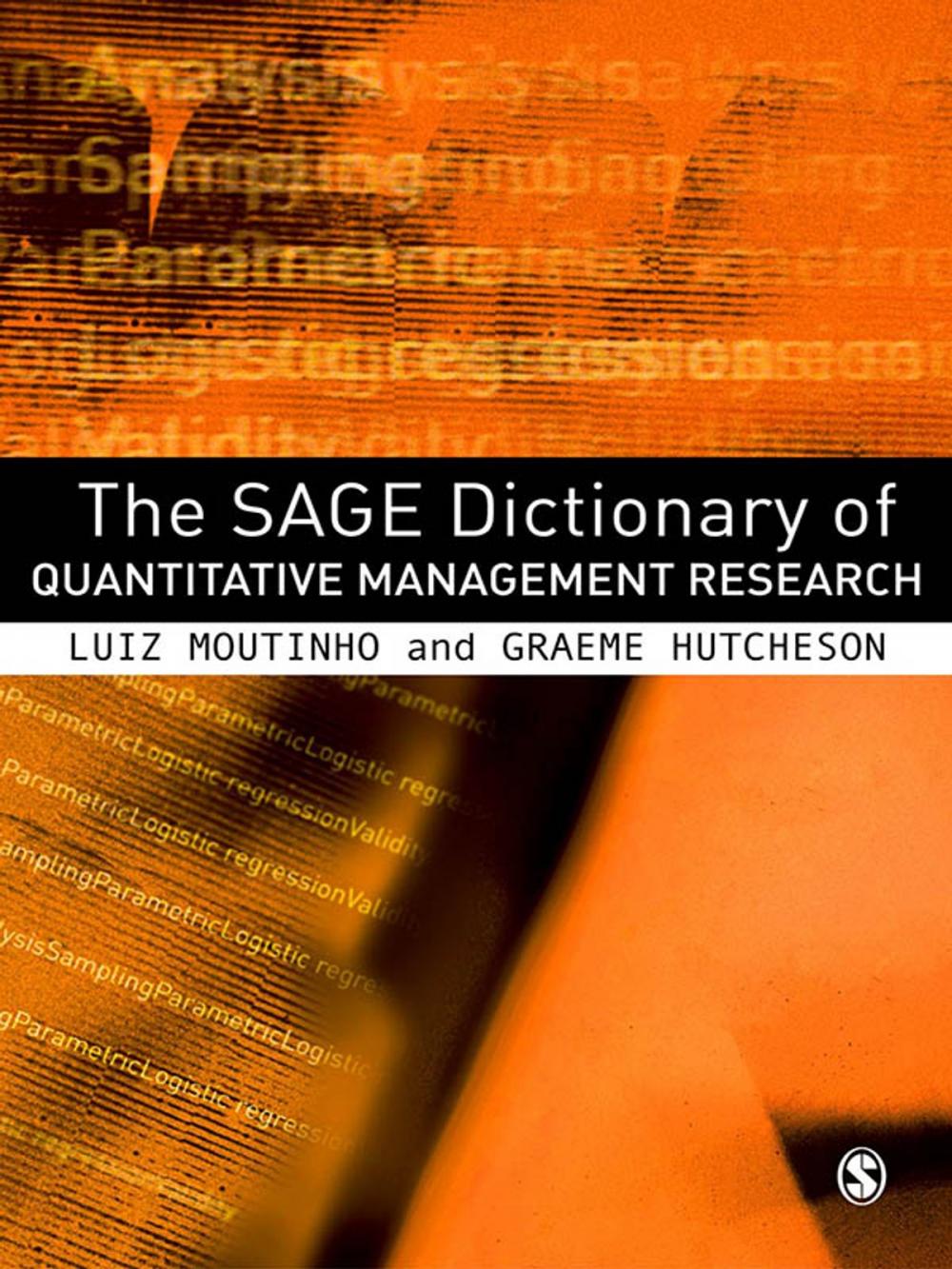 Big bigCover of The SAGE Dictionary of Quantitative Management Research