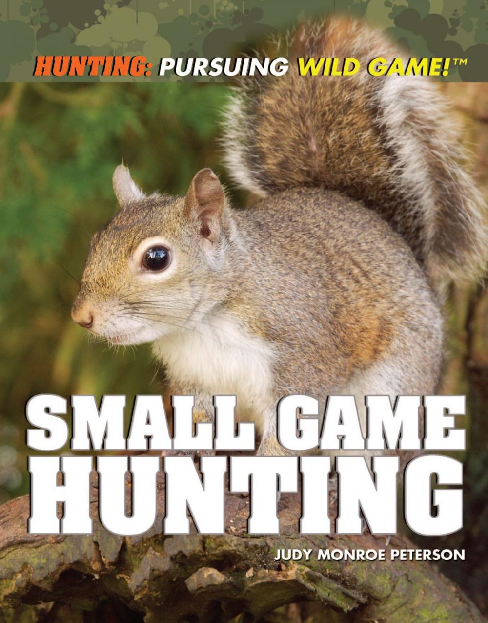 Big bigCover of Small Game Hunting