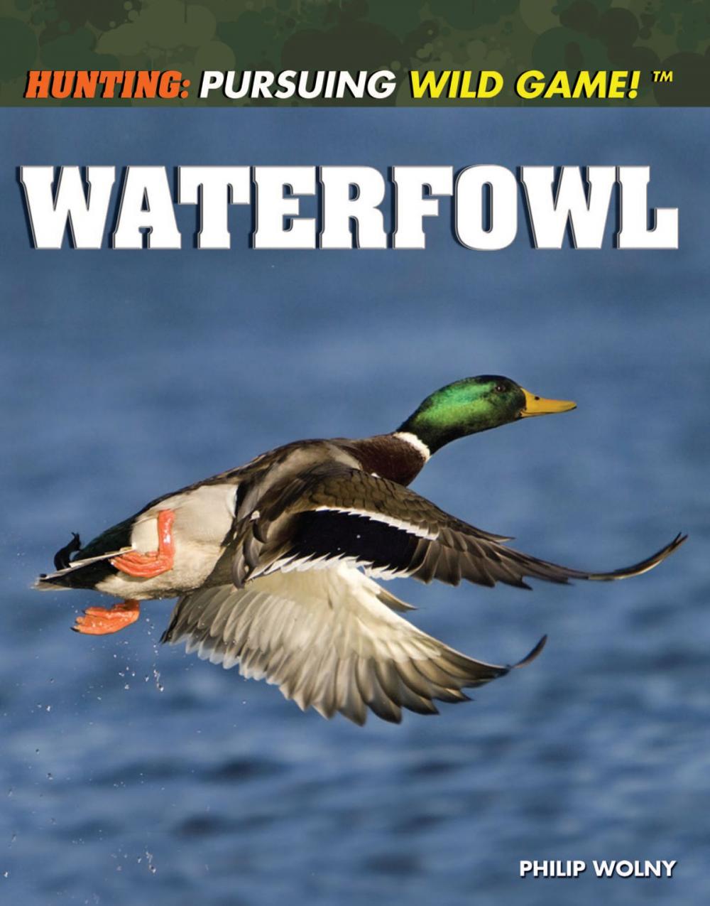 Big bigCover of Waterfowl