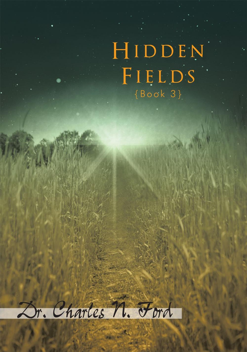 Big bigCover of Hidden Fields Book 3