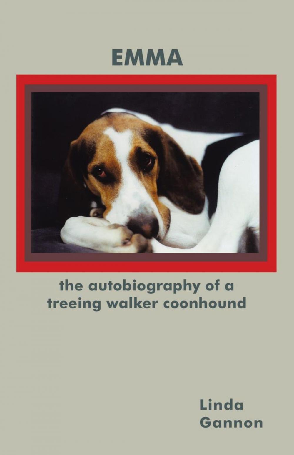 Big bigCover of The Autobiography of a Treeing Walker Coonhound