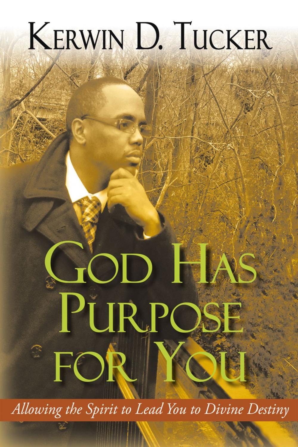 Big bigCover of God Has Purpose for You