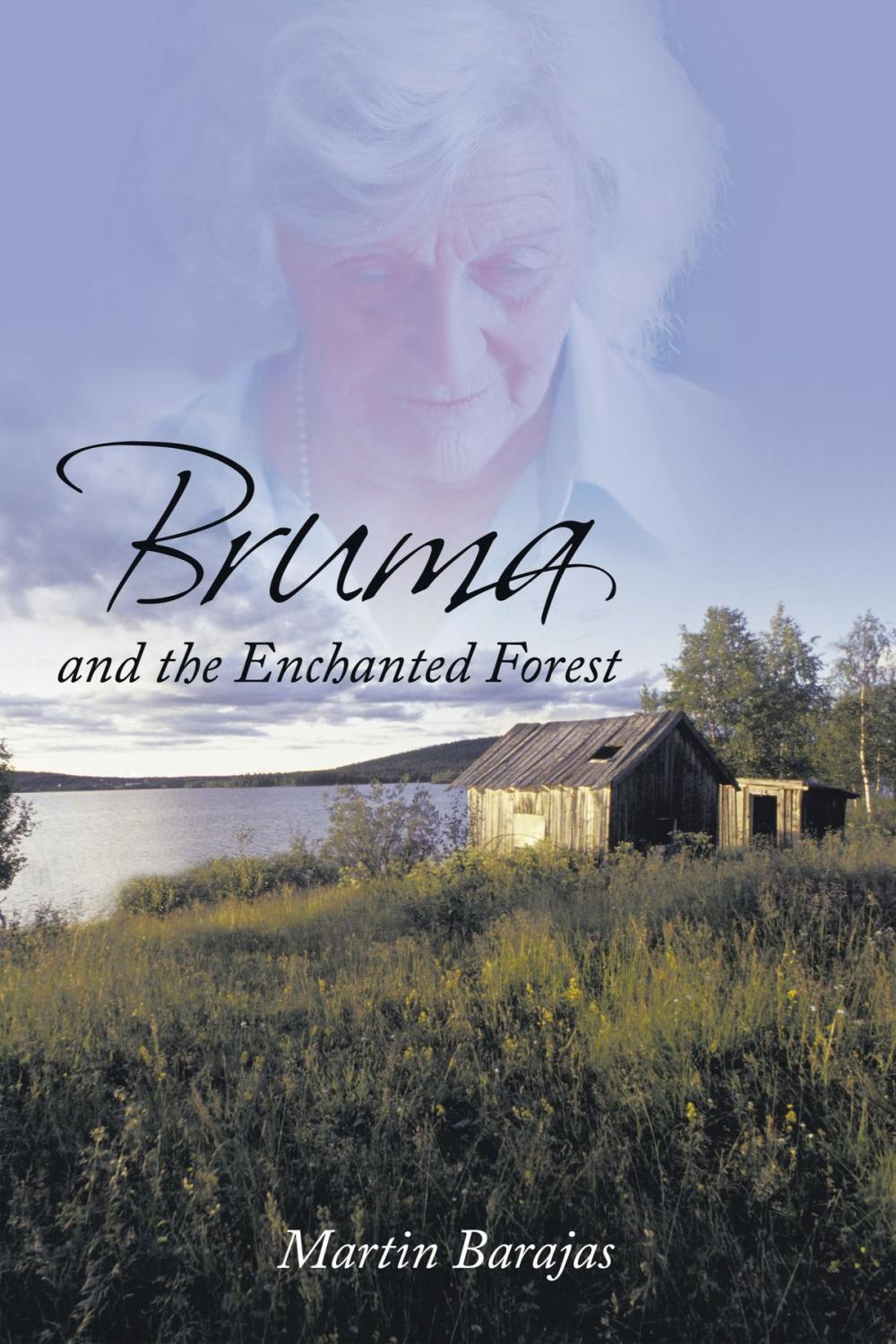 Big bigCover of Bruma and the Enchanted Forest