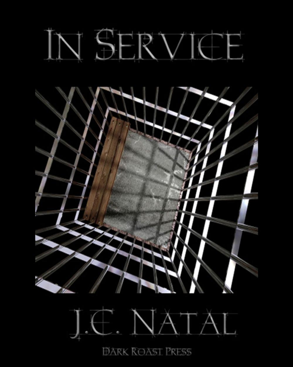 Big bigCover of In Service