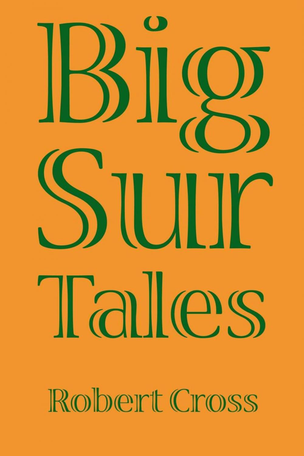 Big bigCover of Big Sur Tales
