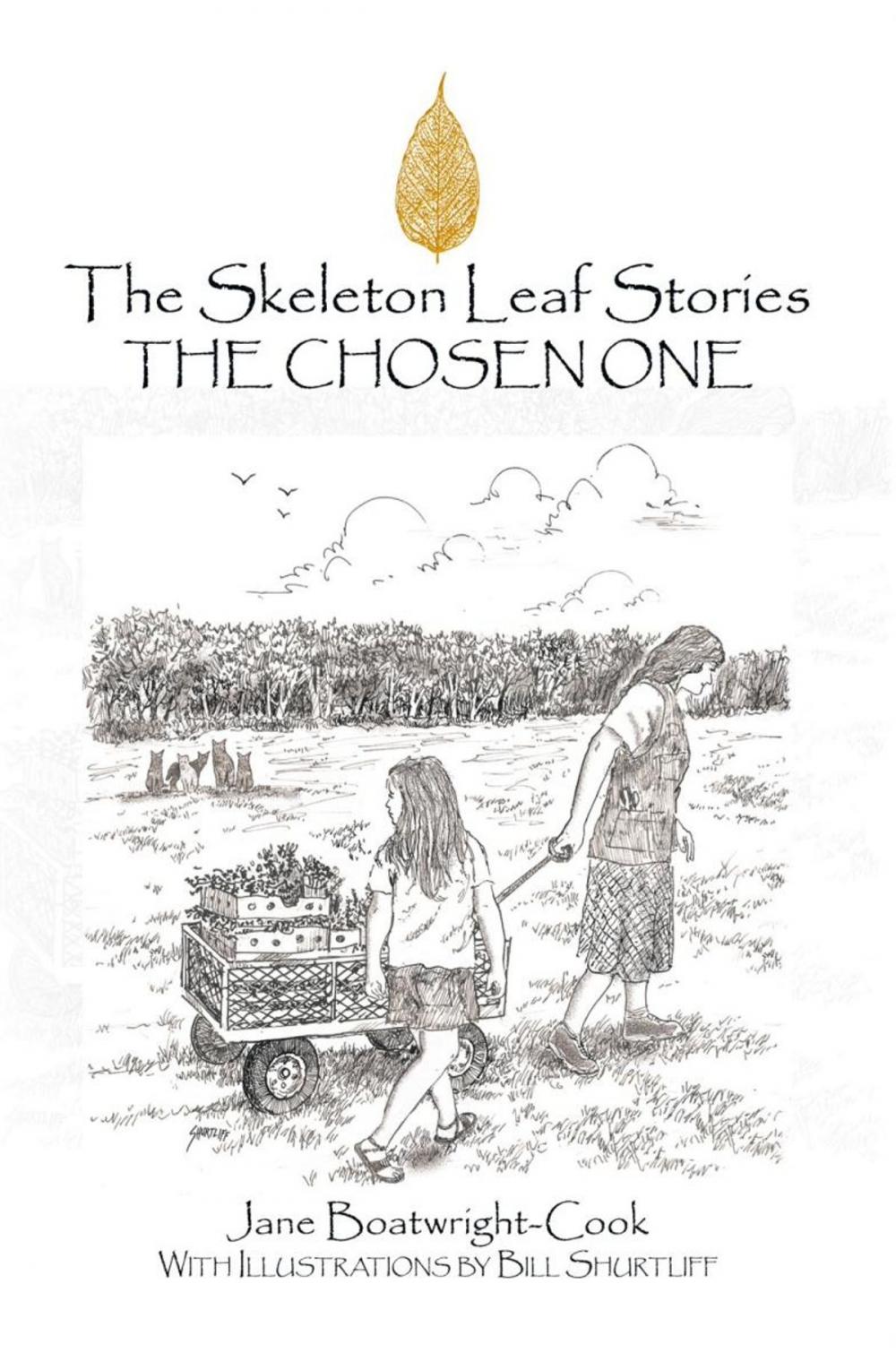 Big bigCover of The Skeleton Leaf Stories