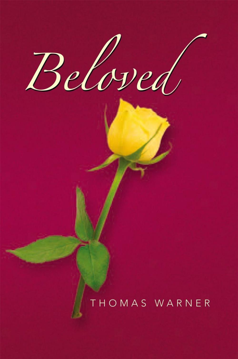 Big bigCover of Beloved