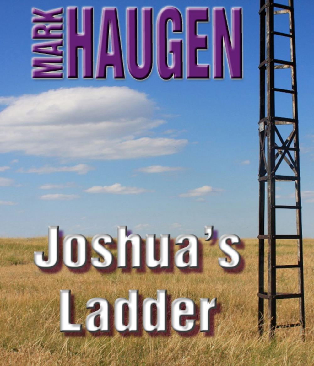 Big bigCover of Joshua's Ladder