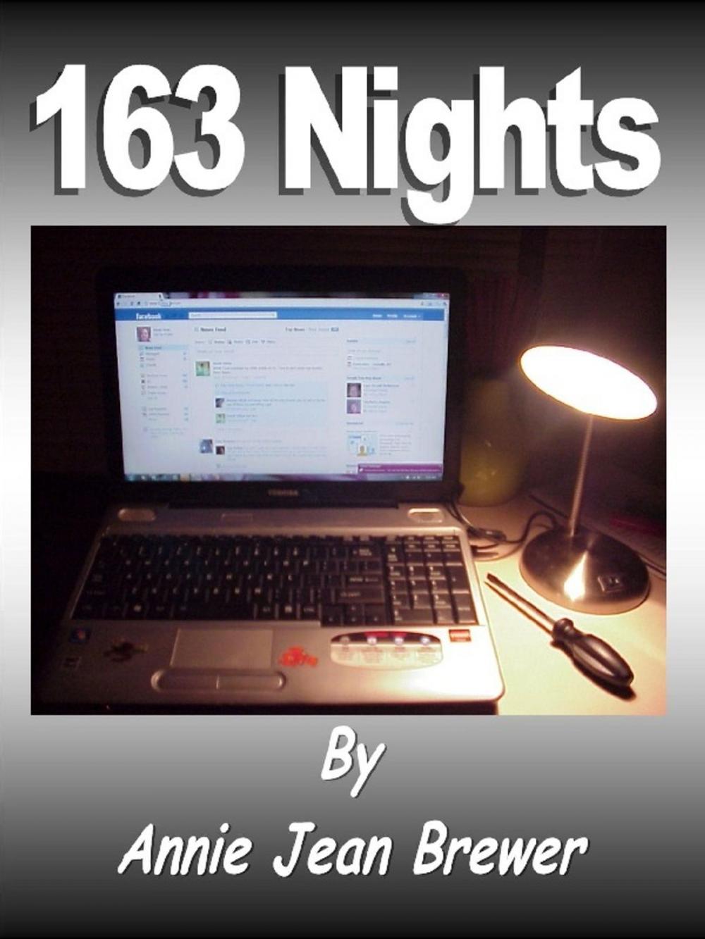 Big bigCover of 163 Nights