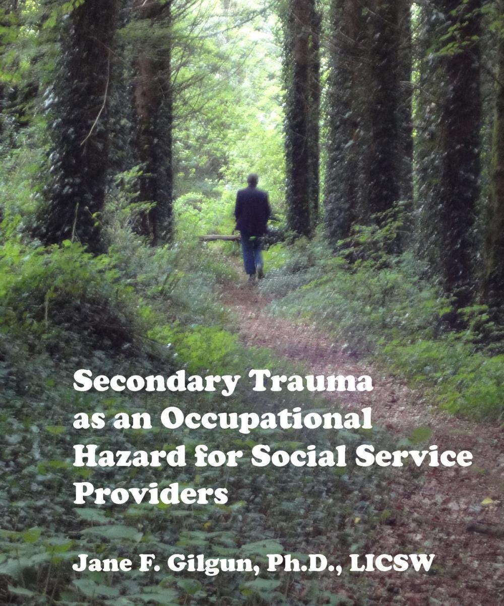 Big bigCover of Secondary Trauma as an Occupational Hazard for Social Service Providers