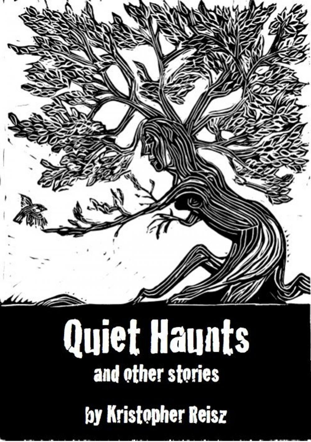 Big bigCover of Quiet Haunts and Other Stories