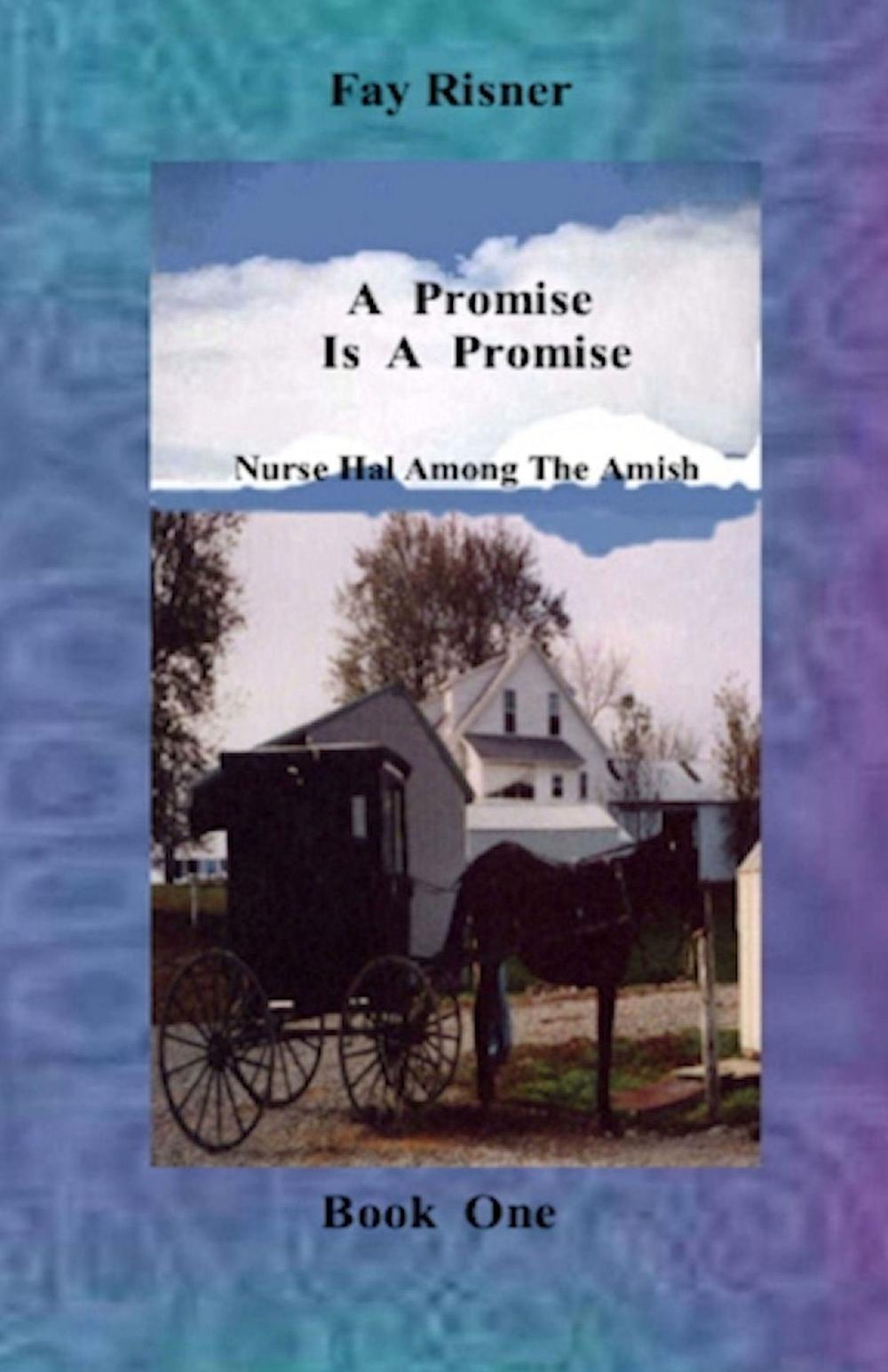 Big bigCover of A Promise Is A Promise-book 1-Nurse Hal Among The Amish