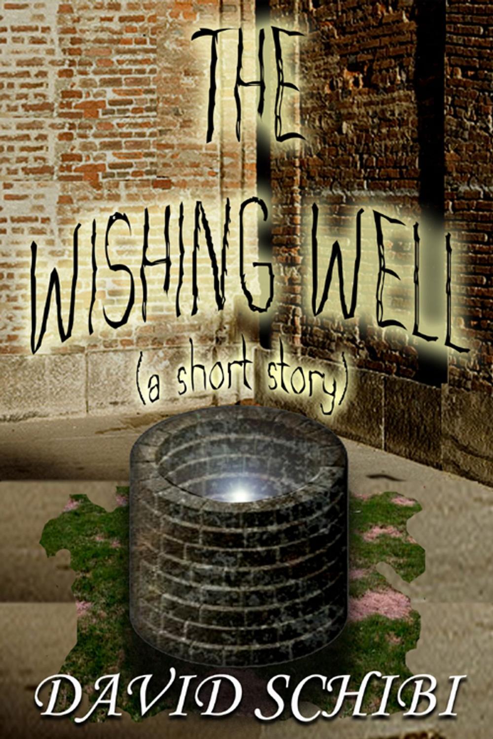 Big bigCover of The Wishing Well