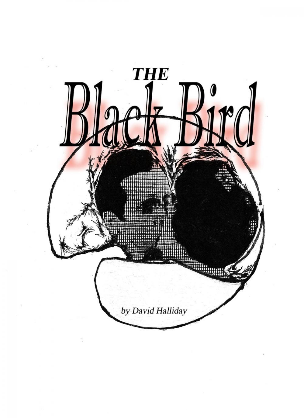 Big bigCover of The Black Bird