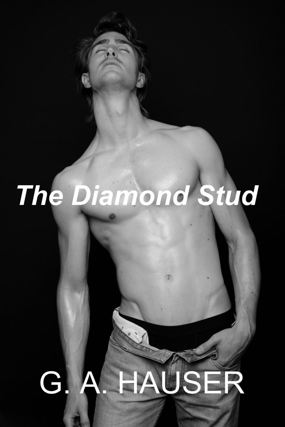 Big bigCover of The Diamond Stud